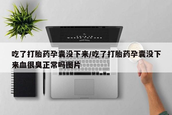网上米索前列醇在线购买，吃了打胎药孕囊没下来/吃了打胎药孕囊没下来血很臭正常吗图片